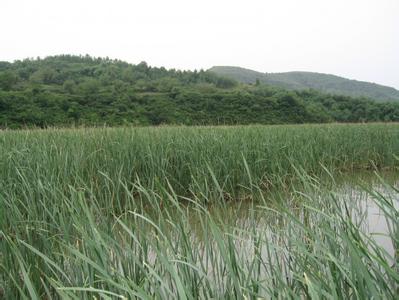 銅川宜君天氣預報_宜君天氣預報一周7天10天15天銅川宜君天氣預報,宜君天氣預報一周7天10天15天