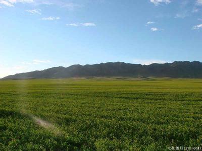 海南州貴南天氣預(yù)報(bào)_貴南天氣預(yù)報(bào)一周7天10天15天海南州貴南天氣預(yù)報(bào),貴南天氣預(yù)報(bào)一周7天10天15天