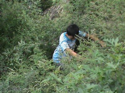 順平pm2.5實(shí)時(shí)查詢,順平縣空氣質(zhì)量指數(shù)查詢