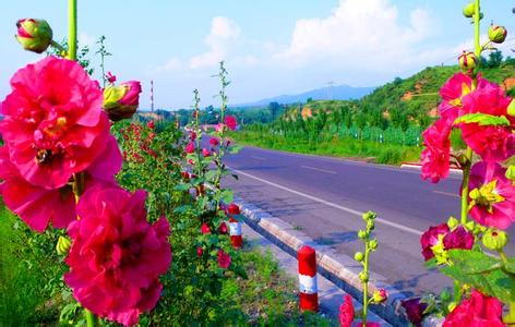 左權(quán)pm2.5實時查詢,左權(quán)縣空氣質(zhì)量指數(shù)查詢