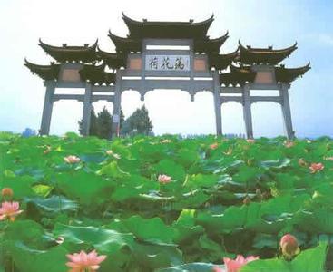 金湖pm2.5實時查詢,金湖縣空氣質(zhì)量指數(shù)查詢