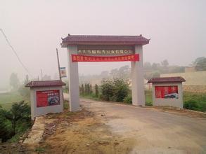 謝家集pm2.5實(shí)時(shí)查詢(xún),謝家集區(qū)空氣質(zhì)量指數(shù)查詢(xún)