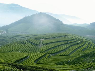 浦城pm2.5實時查詢,浦城縣空氣質(zhì)量指數(shù)查詢