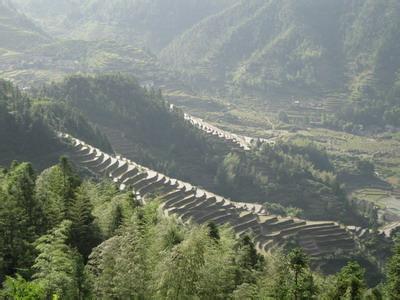 遂川pm2.5實時查詢,遂川縣空氣質量指數查詢