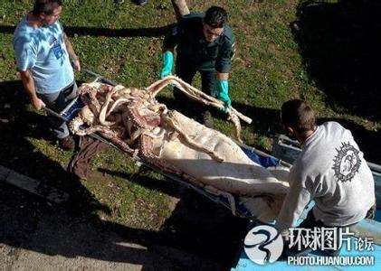 永福pm2.5實時查詢,永福縣空氣質量指數(shù)查詢