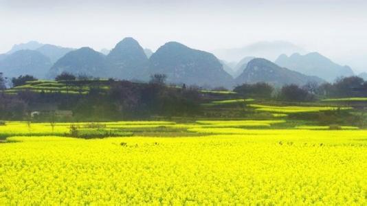 筠連pm2.5實時查詢,筠連縣空氣質(zhì)量指數(shù)查詢