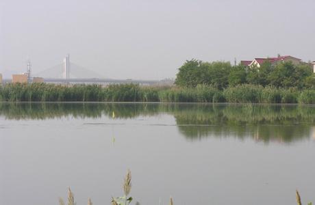 永寧pm2.5實時查詢,永寧縣空氣質(zhì)量指數(shù)查詢