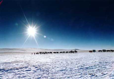 阿魯科爾沁旗天氣預(yù)報(bào)15天查詢