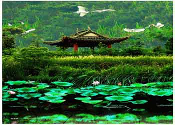 蔡甸天氣預(yù)報(bào)15天查詢