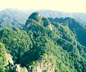 陳倉天氣預報15天查詢