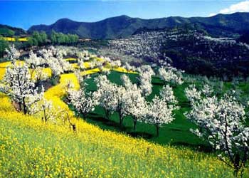 淳化天氣預(yù)報15天查詢