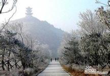 調(diào)兵山天氣預(yù)報15天查詢