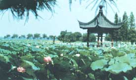 洪山天氣預(yù)報15天查詢