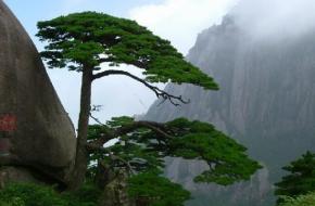 黃山區天氣預報15天查詢