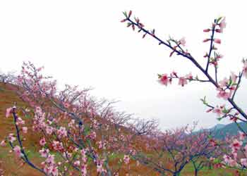 建寧天氣預(yù)報15天查詢