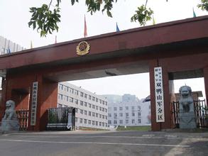 嶺東天氣預報15天查詢