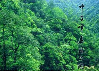 慶元天氣預(yù)報15天查詢
