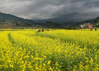 閩侯天氣預報15天查詢