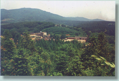 南譙天氣預(yù)報(bào)15天查詢