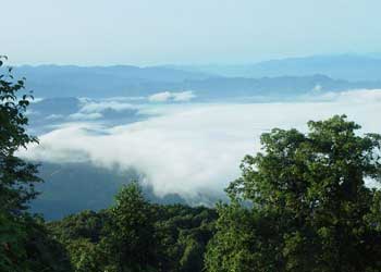 屏山天氣預報15天查詢