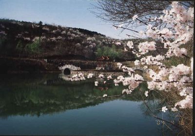 蘇家屯天氣預(yù)報15天查詢