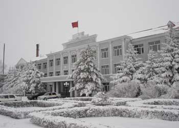 望奎天氣預(yù)報15天查詢