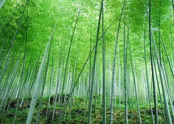 宜興天氣預(yù)報15天查詢