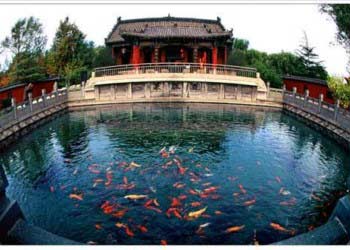 章丘天氣預(yù)報15天查詢
