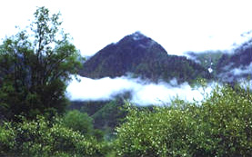 酒泉關山森林公園天氣