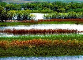 七臺(tái)河烏蘇里江天氣