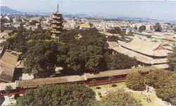 泉州開(kāi)元寺天氣