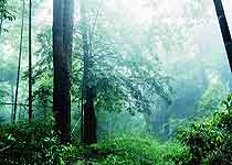 武平梁野山國(guó)家自然保護(hù)區(qū)天氣