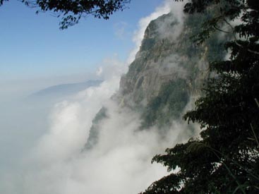 臺(tái)灣阿里山天氣
