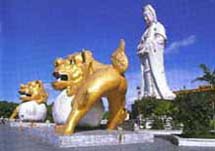 臺(tái)中中正公園天氣