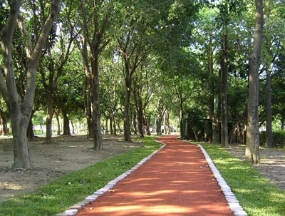 臺灣大安森林公園天氣