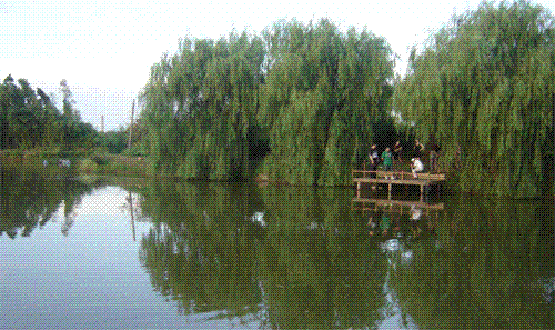 金山施普農(nóng)業(yè)園天氣
