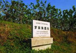 桐鄉(xiāng)羅家角遺址天氣