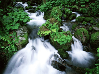 衢州開(kāi)化古田山自然保護(hù)區(qū)天氣