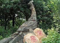 新浦高公島凰窩景區(qū)天氣