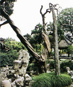 興化鄭板橋紀(jì)念館天氣