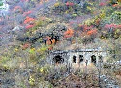 林州仙臺(tái)山天氣