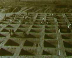 三門峽廟底溝遺址天氣