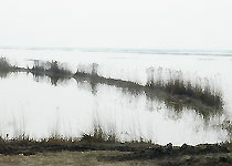 靜海團(tuán)泊洼水庫天氣