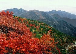 門(mén)頭溝大寒嶺關(guān)城天氣