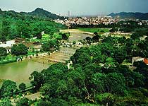 黃埔丹水坑風景區天氣