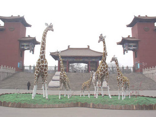 太原動(dòng)物園天氣