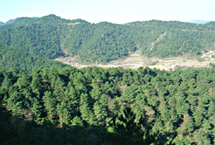 長(zhǎng)治紫團(tuán)山天氣