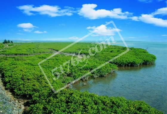 防城港北侖河口國(guó)家級(jí)自然保護(hù)區(qū)天氣