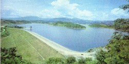 儋州軍屯熱帶花果園天氣