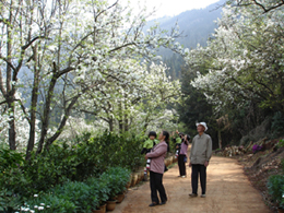 個(gè)舊寶華公園天氣